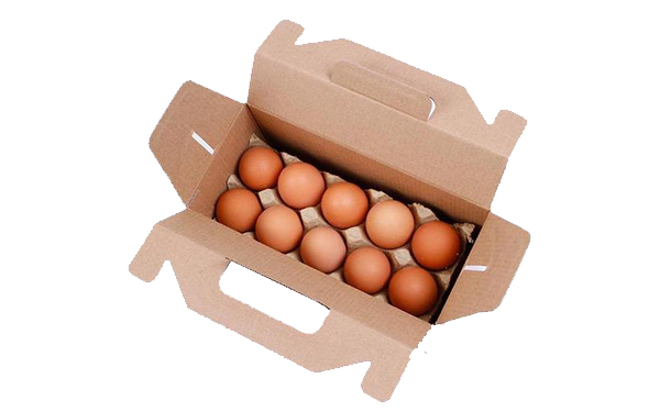 毕节鸡蛋包装箱